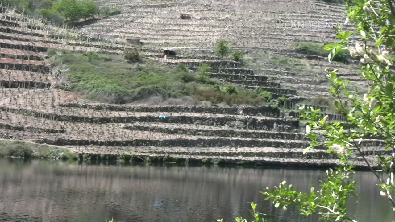 Chopin - Waltz Of The Piano No.3. (LandscapeHD)