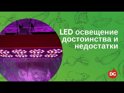 №43 Светодиодное LED-освещение растений: преимущества и недостатки