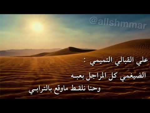 قصيدة الضيغمي كل المراجل بعبه