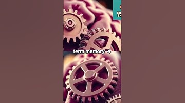 Unlock Your Memory: 5 Science-Backed Techniques to Remember Everything You Read!