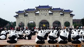 1600貓熊世界之旅—2014臺北-Pandas