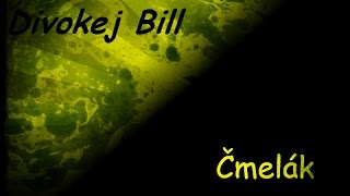 Video thumbnail of "Divokej bill - čmelák - text"