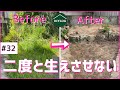 二度と雑草を生えなくする対策！庭の雑草除去｜固まる土を敷く準備【古民家DIY#32】