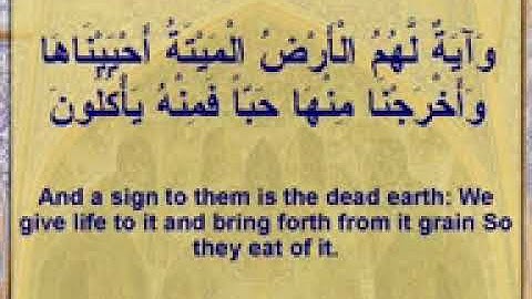 Surah Yasin full english subtitles سعد الغامدي   سورة يس   YouTube