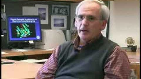 DNA Genomes lead to vitamin personalization