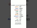 Parts Of The Face Sinhala & Tamil | Beginners #shorts #trending #viral