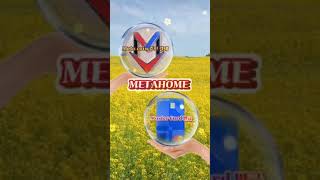 #metahome #metacoin #유망코인 #바이낸스상장
