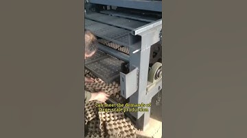 Industry professionals highly recommend the high-yield egg tray machine #factoryproducts #machine