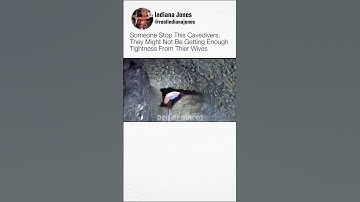 Stop these Cave Diver Videos #cavedivers #meme #funny