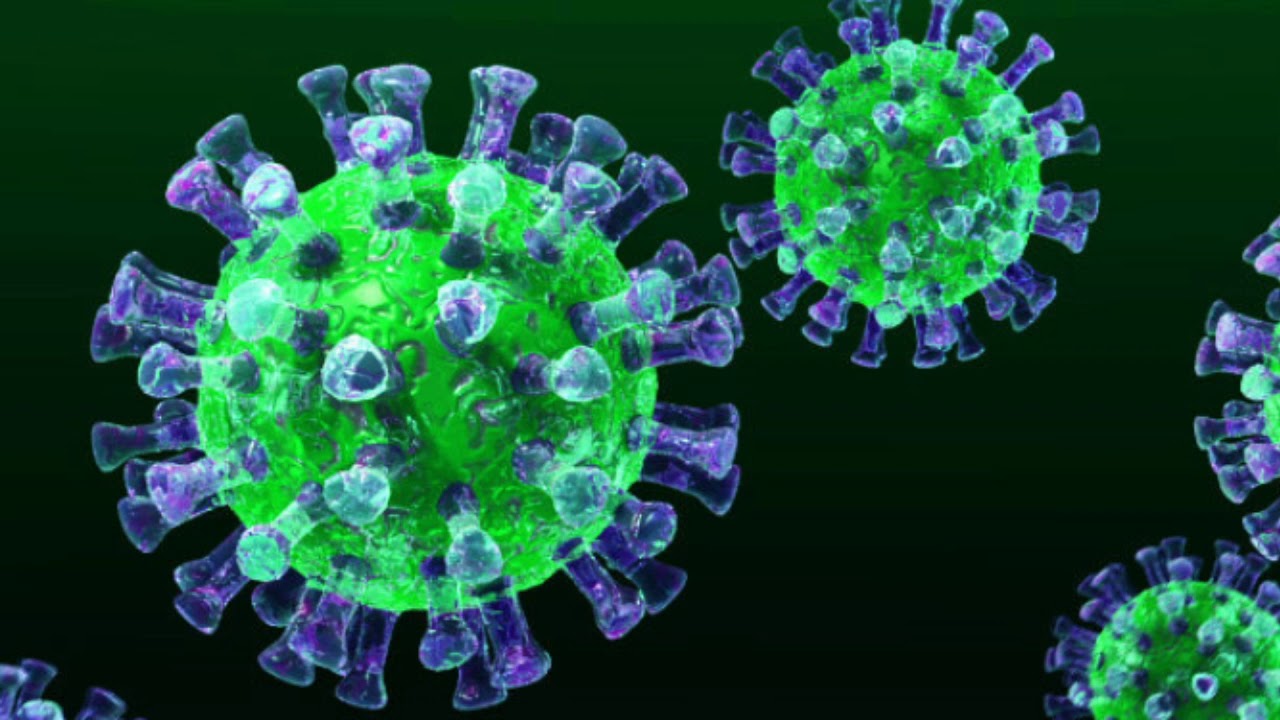 Coronavirus