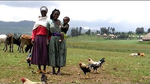 Sisters on the Planet (1-minute PSA)