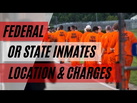 Video: Cât primesc prizonierii scutiți?