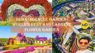 Miracle garden| world's best flower garden | dubai