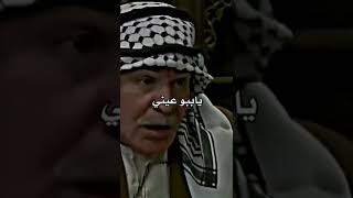 ابو نجيب