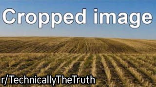 r/TechnicallyTheTruth | That's... not wrong