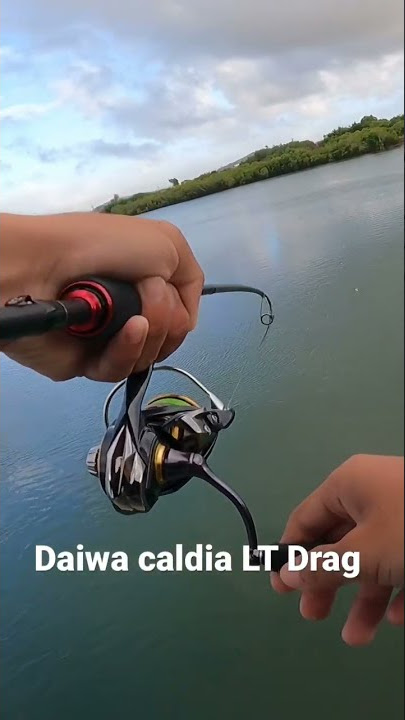 Daiwa Caldia LT drag Sound💨🔊 #daiwa #saltwaterfishing #bigfish #fishing #landbasedfishing #shorts