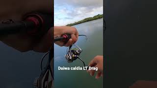 Daiwa Caldia LT drag Sound💨🔊 #daiwa #saltwaterfishing #bigfish #fishing #landbasedfishing #shorts