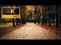 4K Ultra HD | Ukraine | Autumn Walking In ThunderStorm | Binaural Rain | ASMR | Sleep and Study