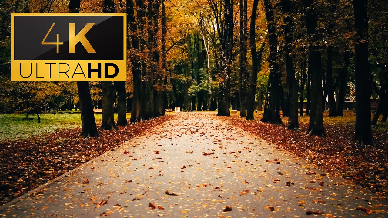 Watch Kharkiv in autumn
