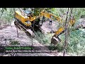 Sany Excavator Breaks Bamboo Bushes To Dig Pond | Driving Skills. #excavator