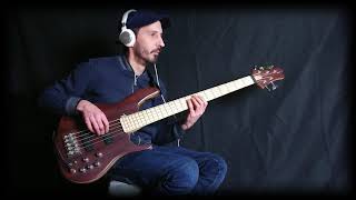 Bootsy Collins / Soul sista (Nicolas Bauer bass cover)