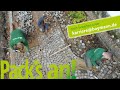 Boymann! Pack’s an: Unsere Ausbildung im Garten- & Landschaftsbau