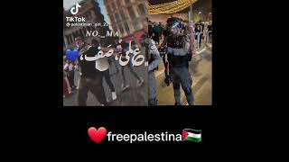 دحية يا فلسطينية على صف الدحية ❤❤⚔❤❤👑