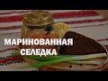 Маринованная селедка