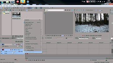 Tutorial 1, Reverse footage (Sony Vegas Pro 11.0)