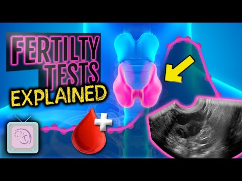 Video: Kan eggløsningstest vise graviditet?