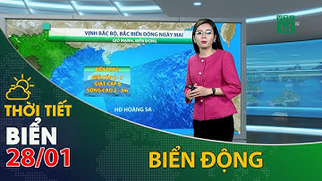 Thời tiết biển ngày 28/01/2022:Bắc và giữa Biển Đông có gió mạnh cấp 5-6, biển động| VTC14