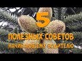 ТОП 5 Полезных советов начинающему водителю. Простой Дальнобой!