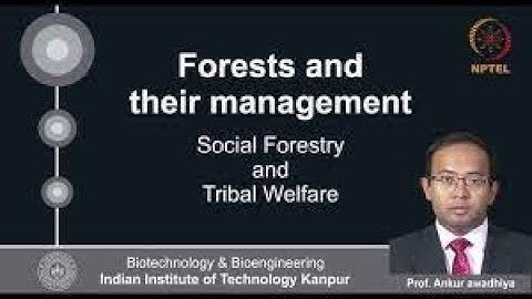 Forests and their Management | Week 2 Quiz | Assignment 2 Solution | NPTEL | SWAYAM 2023