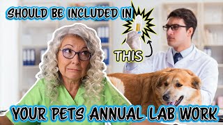 Decoding Pet Urinalysis in Veterinary Medicine by Dr. Judy Morgan’s Naturally Healthy Pets 3,115 views 1 month ago 14 minutes, 13 seconds