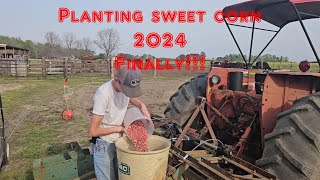 Planting sweet corn 2024!!!