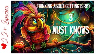 3 Must Knows For Parrots As Pets | #parrot_bliss #parrot by Parrot Bliss 325 views 1 month ago 4 minutes, 35 seconds