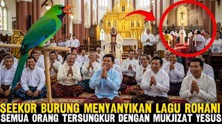 Download Lagu BIKIN HEBOH‼️Seekor Burung Menyanyikan Lagu Rohani dan Semua Warga Tersungkur! MP3 Download Lagu BIKIN HEBOH‼️Seekor Burung Menyanyikan Lagu Rohani dan Semua Warga Tersungkur! MP3