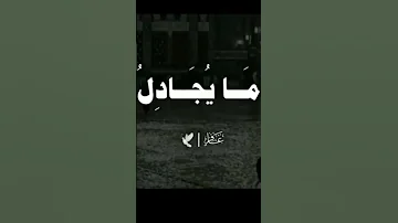 غافر الذنب نعينع تلاوات خاشعة 