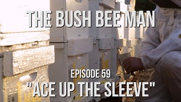 Setting up Markers for Beehive Inspections - Episode 59: "Ace up the Sleeve"