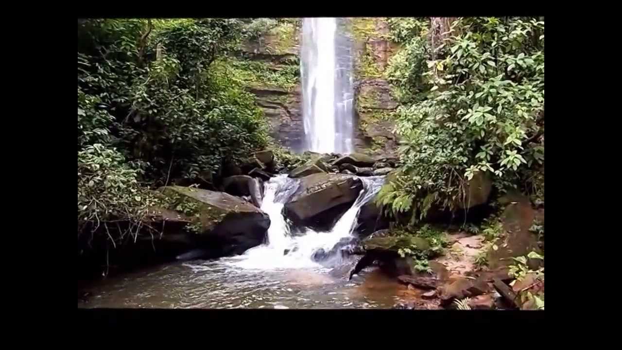 Cachoeiras no Sitio da Família Ratunde Linha P.28 Alto Alegre dos Parecis Rondônia YouTube Cachoeiras no Sitio da Família Ratunde Linha P.28 Alto Alegre dos Parecis Rondônia YouTube