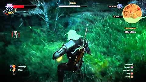 The Witcher 3 Wild Hunt Family Matters | Kill Botchling