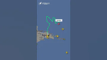 AZAL ın Pilotlarından Səmada Xarıbülbül Gülünün Təsviri 