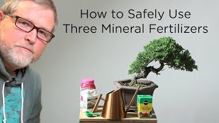 Bonsaify | How to Safely Use Mineral Fertilizers with Bonsai Trees