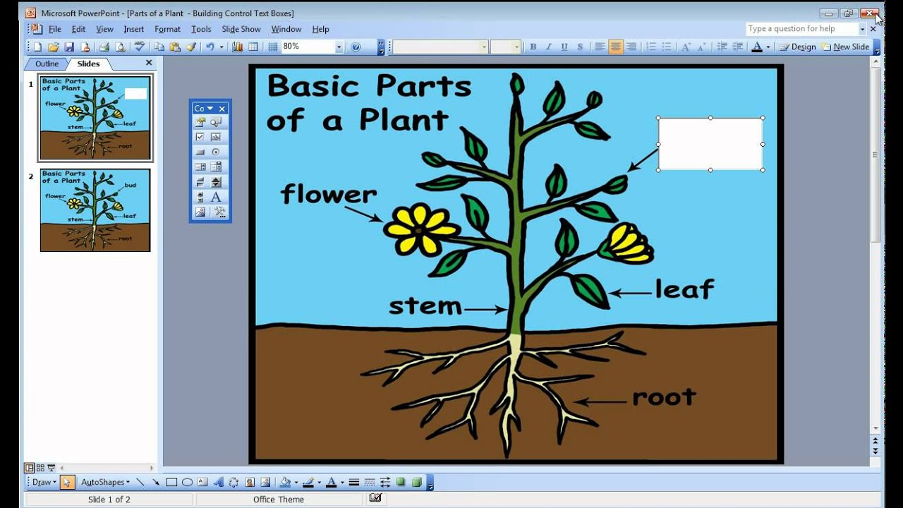 How to Find the Developer Tab In PowerPoint 2003 - YouTube