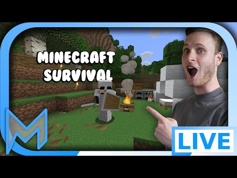 De Malinux Minecraft Survival 🤯 | Minecraft Survival [NL]