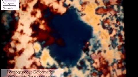 Homogeneous deformation and dynamic recrystallization in camphor (Urai and Humphreys, 2000)
