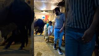 Biggest chatra😍😂 #ytshorts #funny #shorts #viralreels #shero #yt #sheep #bakraeid #qurbani #pets