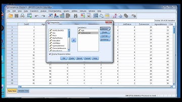 SPSS Video #4: Measuring Central Tendency In SPSS