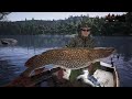 The Catch carp & coarse catching Stoorworm boss pike fish location guide strategy how to tips mickle