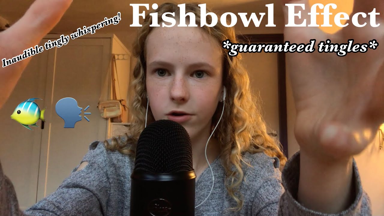 ASMRtrying Fishbowl Effect! 🐠 YouTube